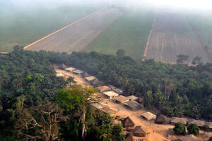 Sierra Leone. (Photo: Le Temps) dal sito di Grain