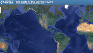 International Rivers - database sui fiumi