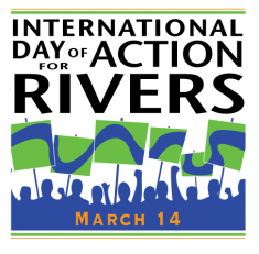 International day of action for Rivers