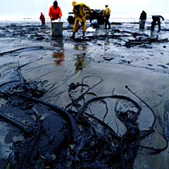 Oil-spill (immagine in public domain)