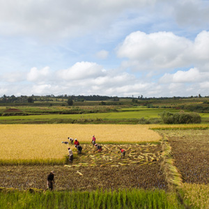 Terraproject_MG_6492