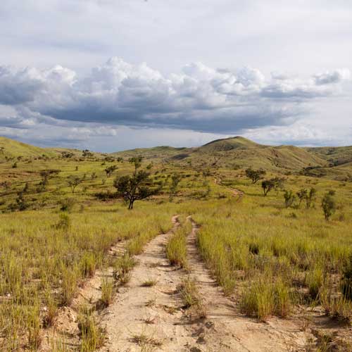 panorama-terra-project