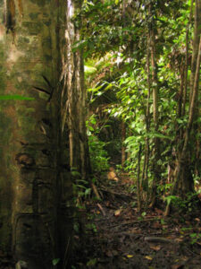 Sumatra, foto: www.viajar24h.com-95 - licenza CC attribution share alike